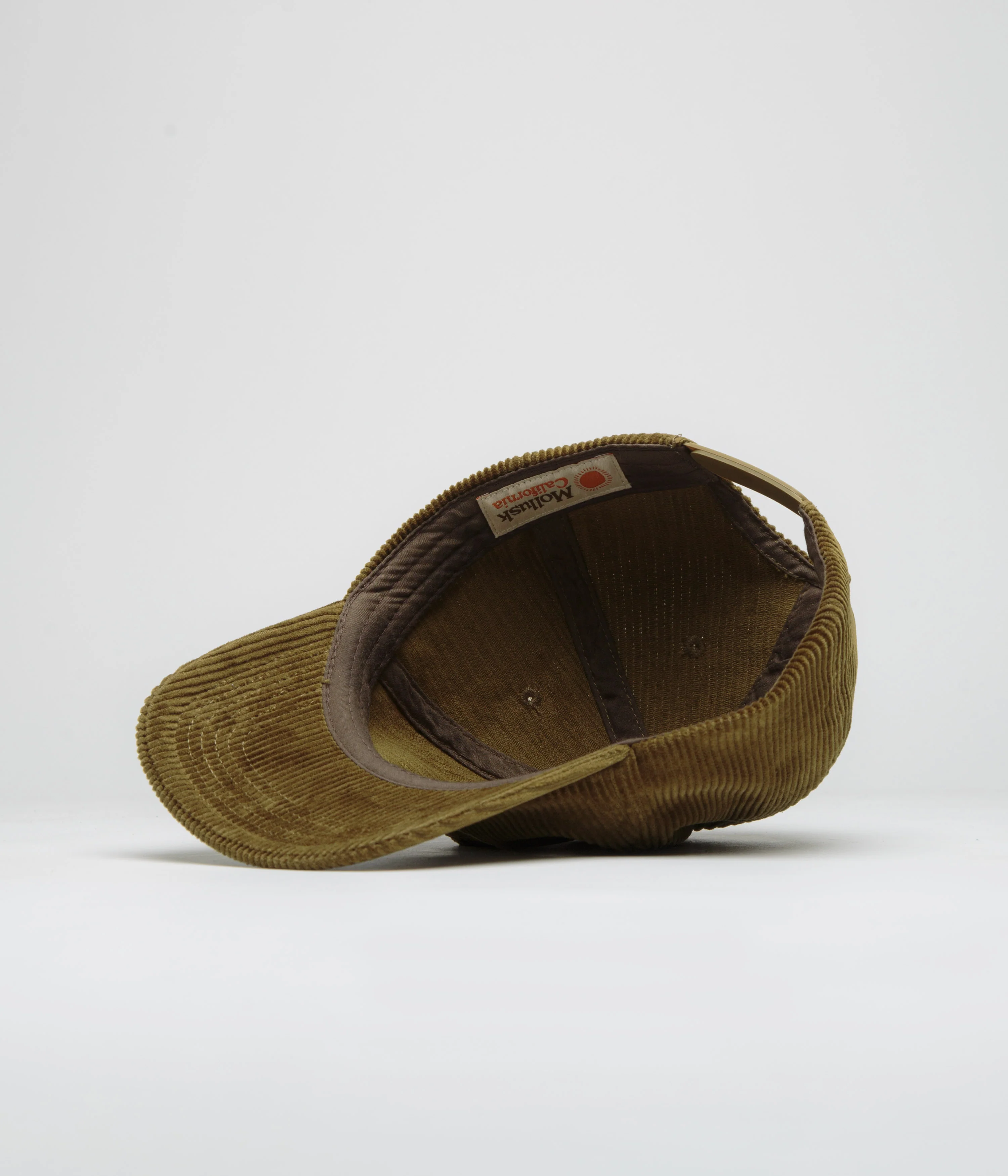 Mollusk Field Guide Corduroy Cap - Olive - Image 4